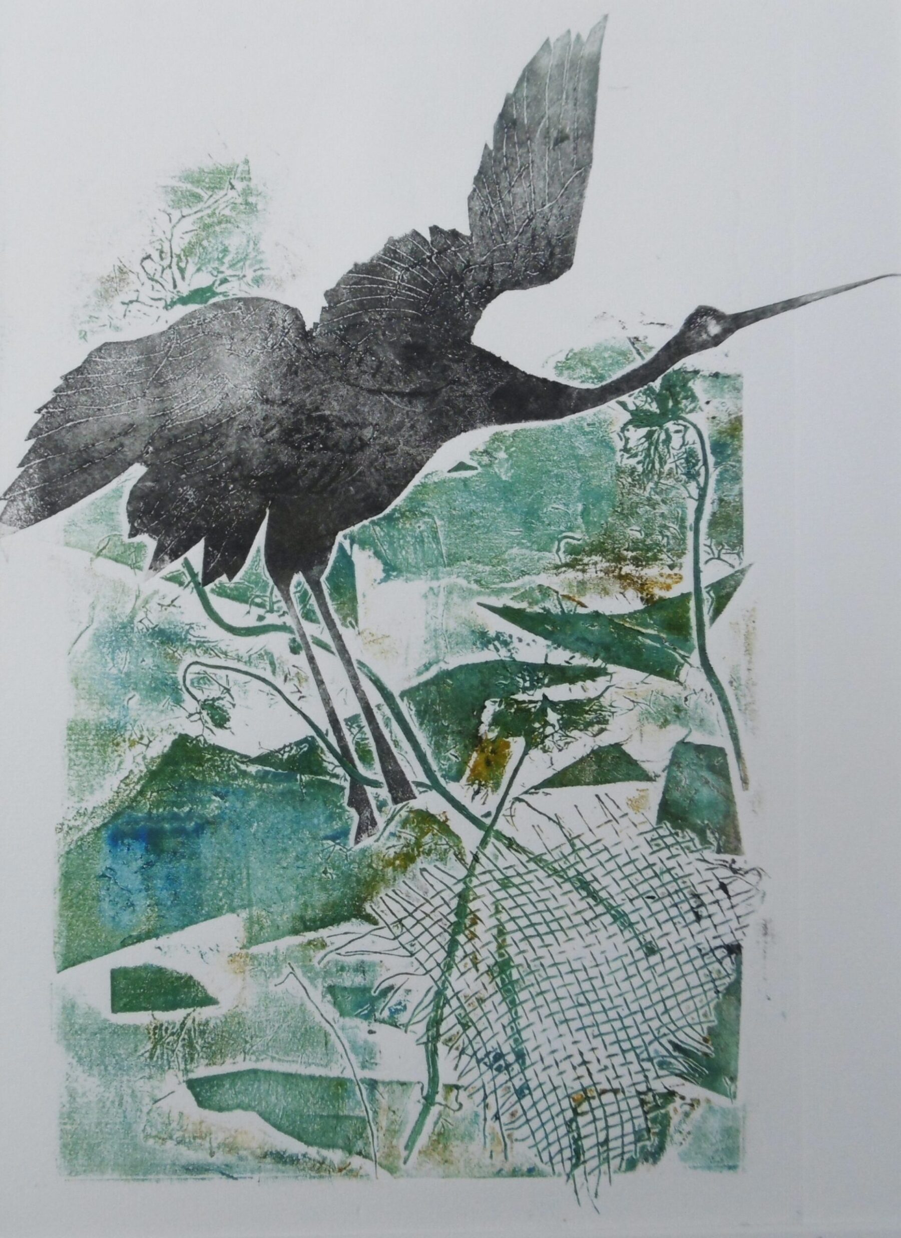 Crane Series 2>
Collograph Print - Framed - Size 42 x 32 cm - $350